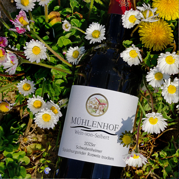 <br><h3>01B/23</h3>2023er Spätburgunder Rotwein trocken 0,75l<br>